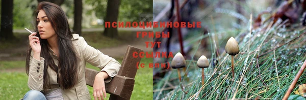 mdpv Надым